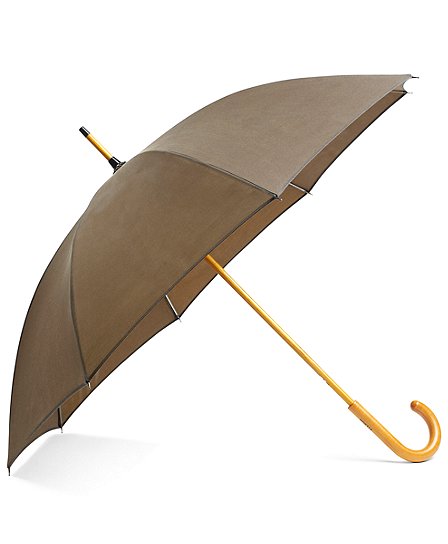 Umbrella