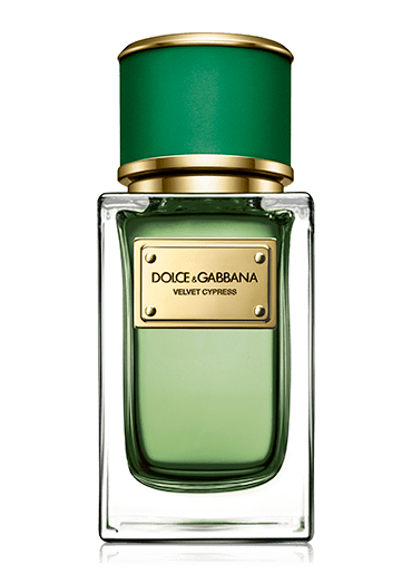 香水(ユニセックス) Dolce & Gabbana Velvet Cypress 50ml dg-velvet-cypress.png?w=640