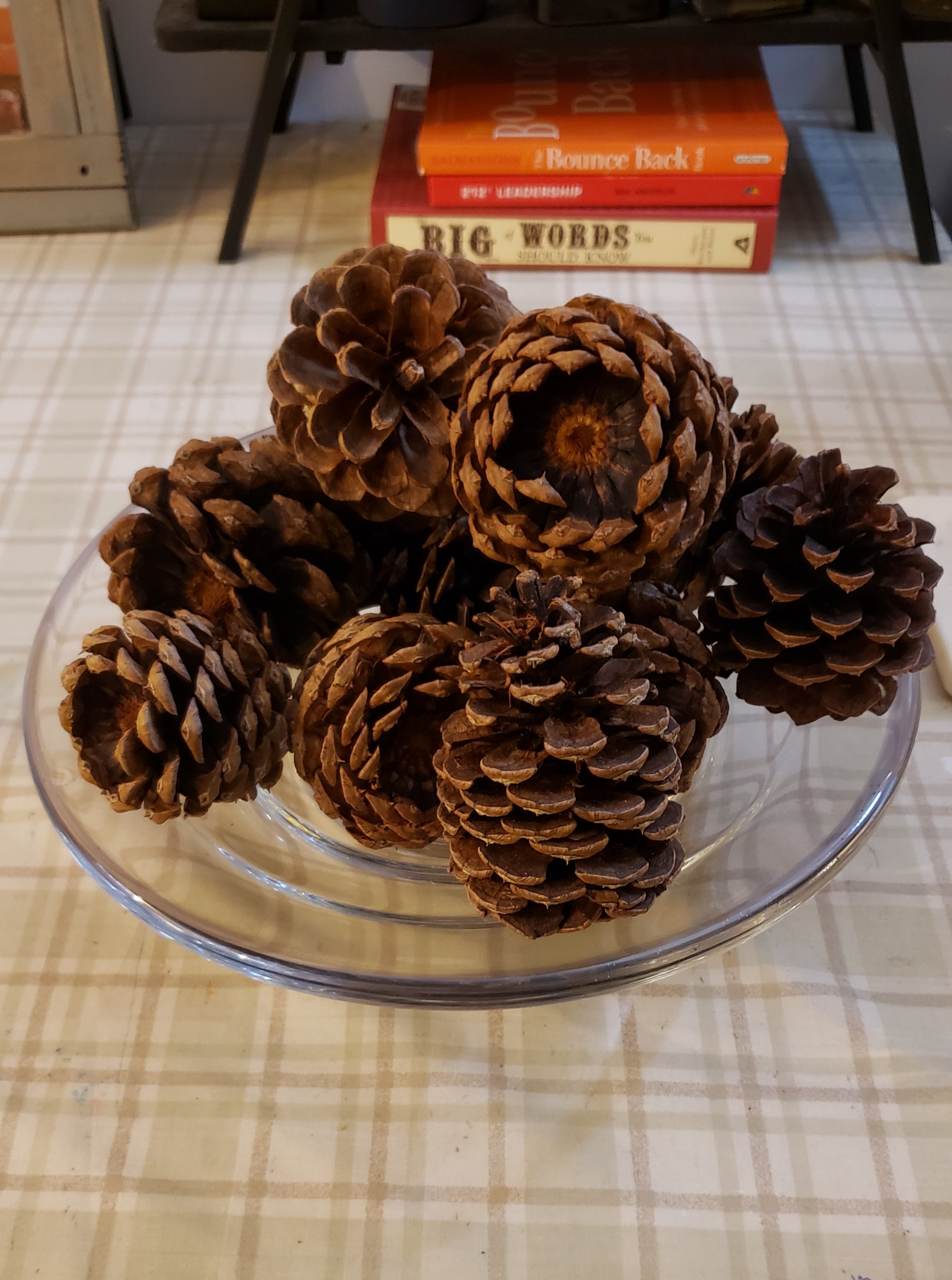 wp-1698255550709178644848986766813